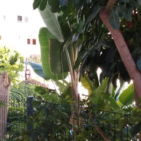 Appartement Hibiscus *